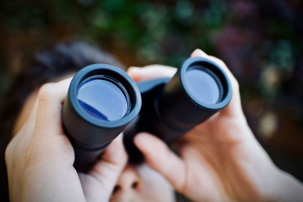 Binoculars For Stargazing