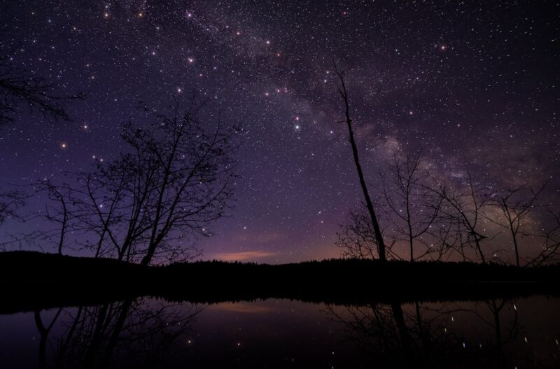 astronomy photography tips: Leafless trees under starry night sky