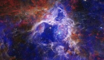 The Tarantula Nebula