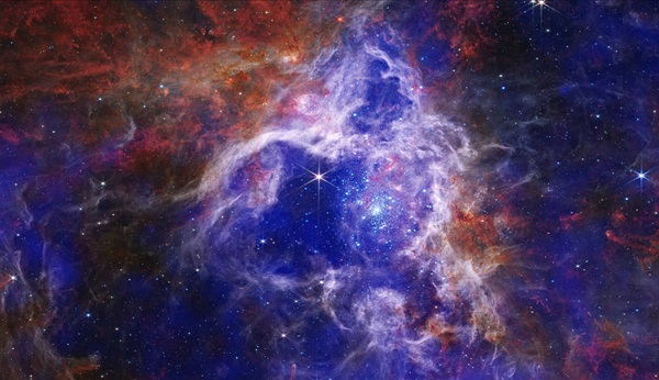 The Tarantula Nebula 